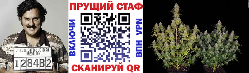 Купить закладку Галлюциногенные грибы  Cocaine  Альфа ПВП  МАРИХУАНА  Меф мяу мяу  ГАШИШ  Дигора