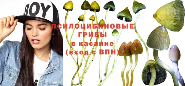 круглые Киреевск
